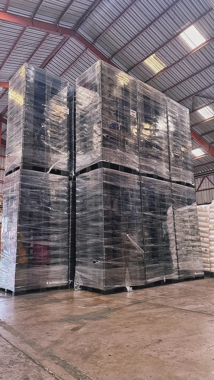 Inventario de pallets plásticos en bodega